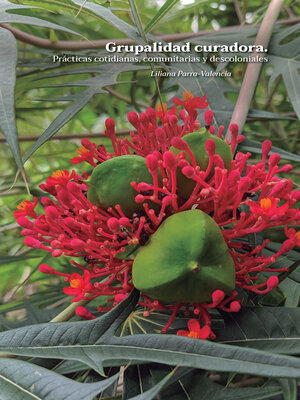 cover image of Grupalidad curadora.